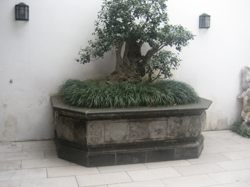 花壇